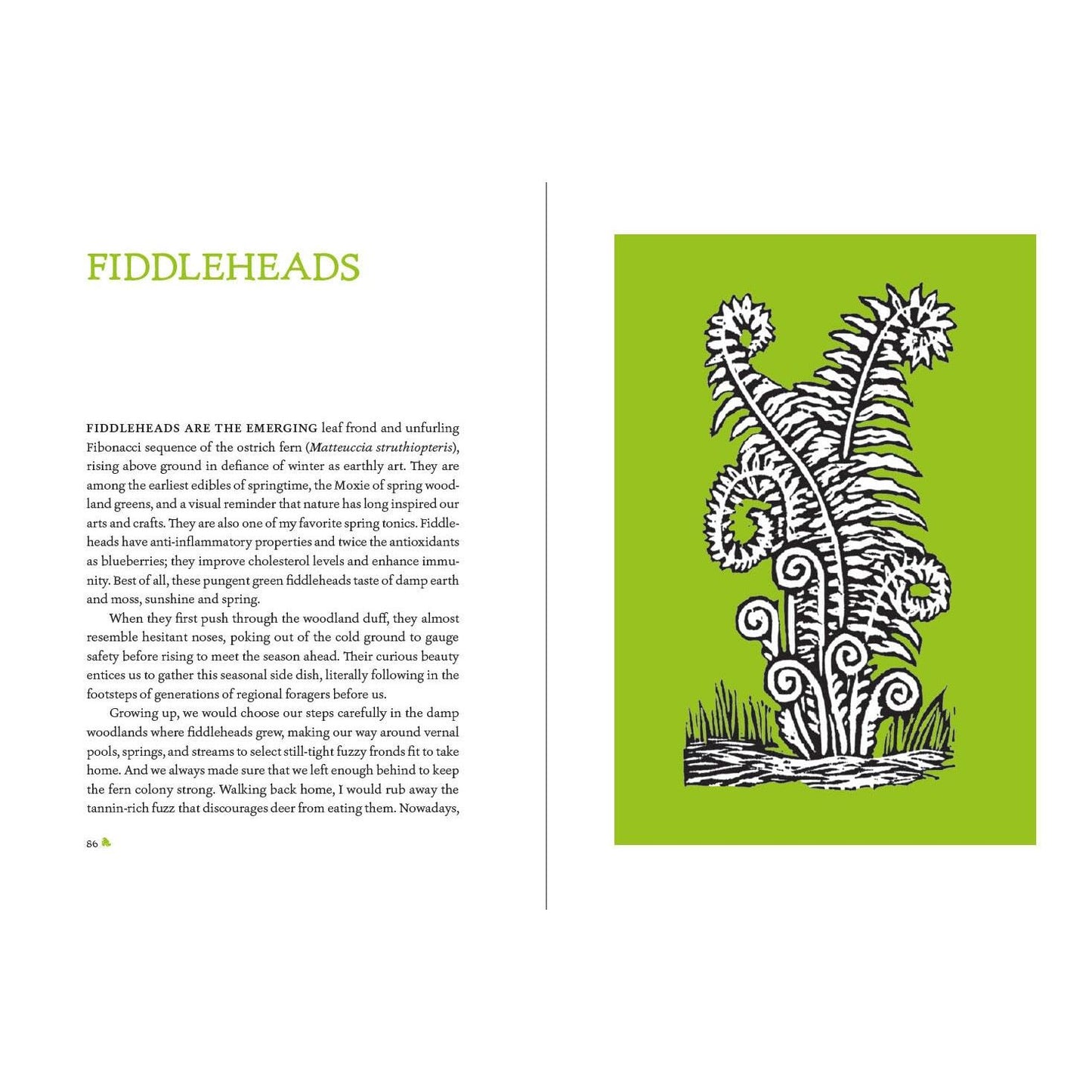 THE HEIRLOOM GARDENER: TRADITIONAL PLANTS & SKILLS FOR THE MODERN WORLD BY JOHN FORTI