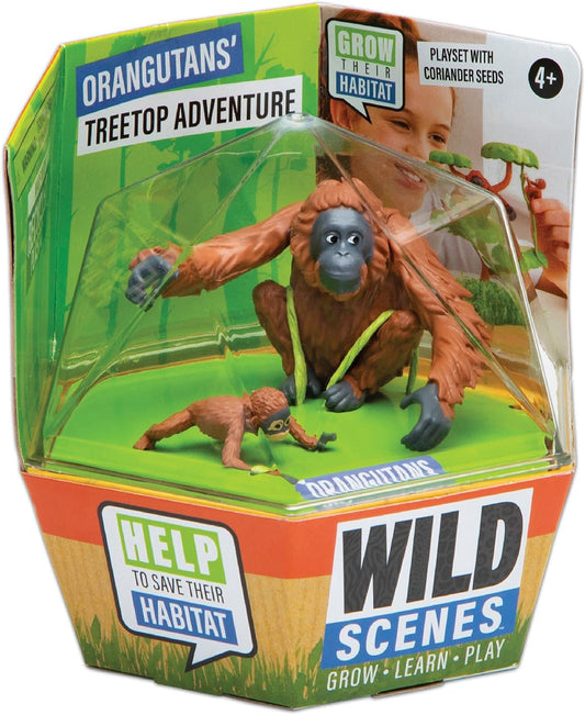Wild Scenes Orangutans' Treetop Adventure