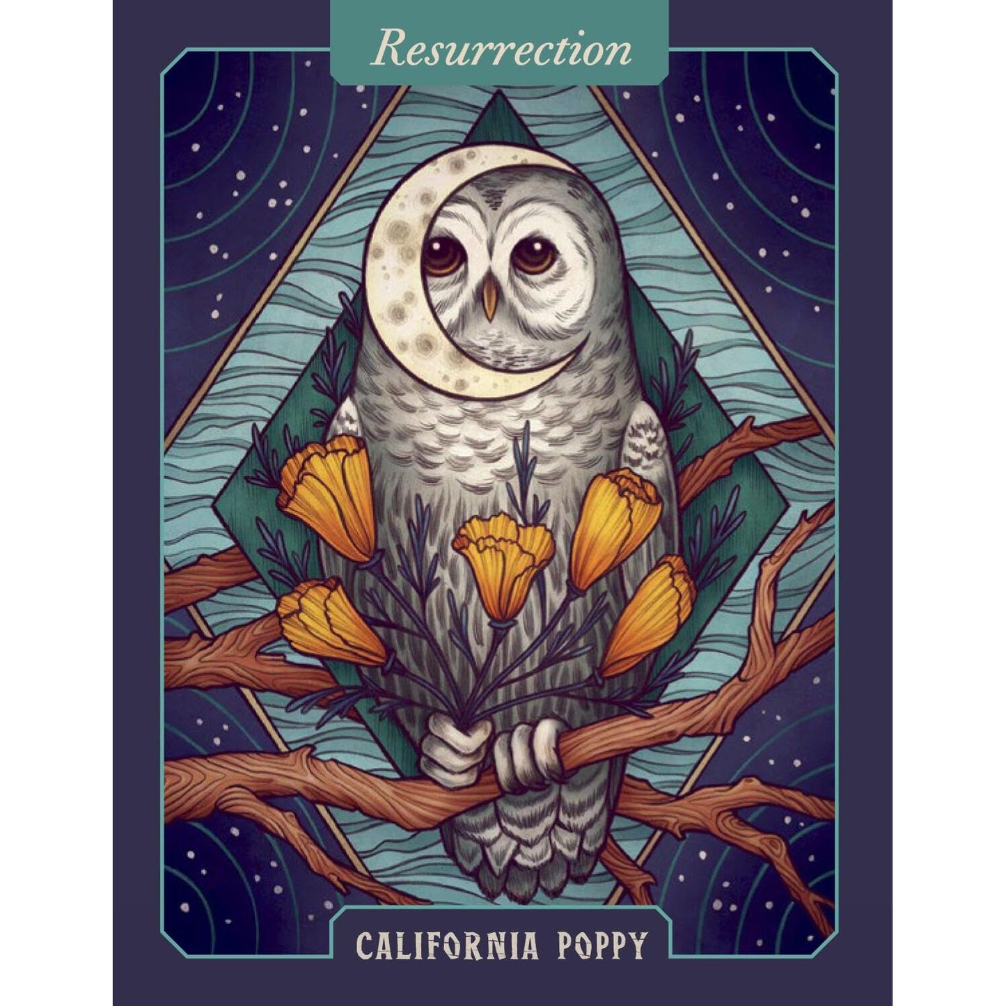 THE ILLUSTRATED HERBIARY ORACLE CARDS BY MAIA TOLL