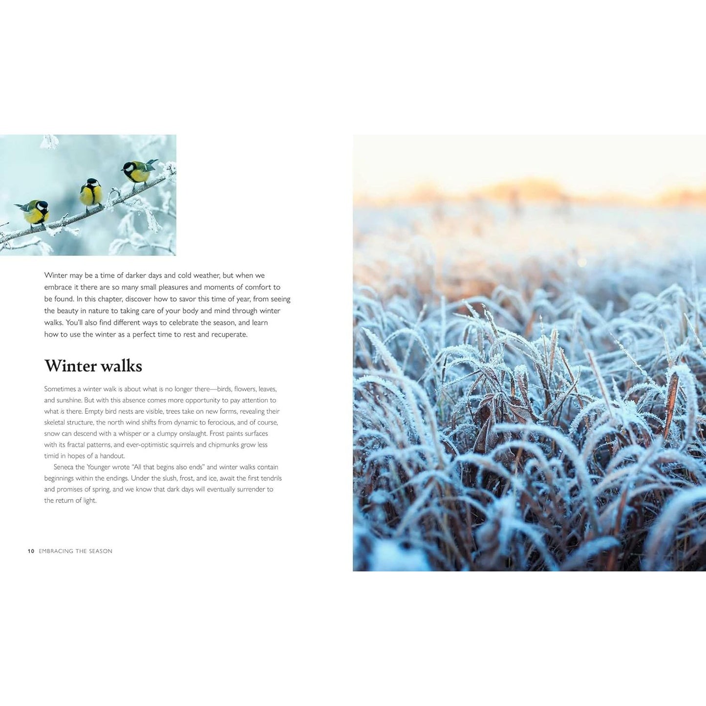 WINTER WELLBEING: SEASONAL SELF-CARE TO NOURISH, SUSTAIN, AND WARM YOUR SOUL