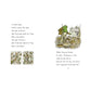 FALL DAYS WITH FROG AND TOAD: TWO CLASSIC STORIES CELEBRATING AUTUMN AND FRIENDSHIP BY ARNOLD LOBEL