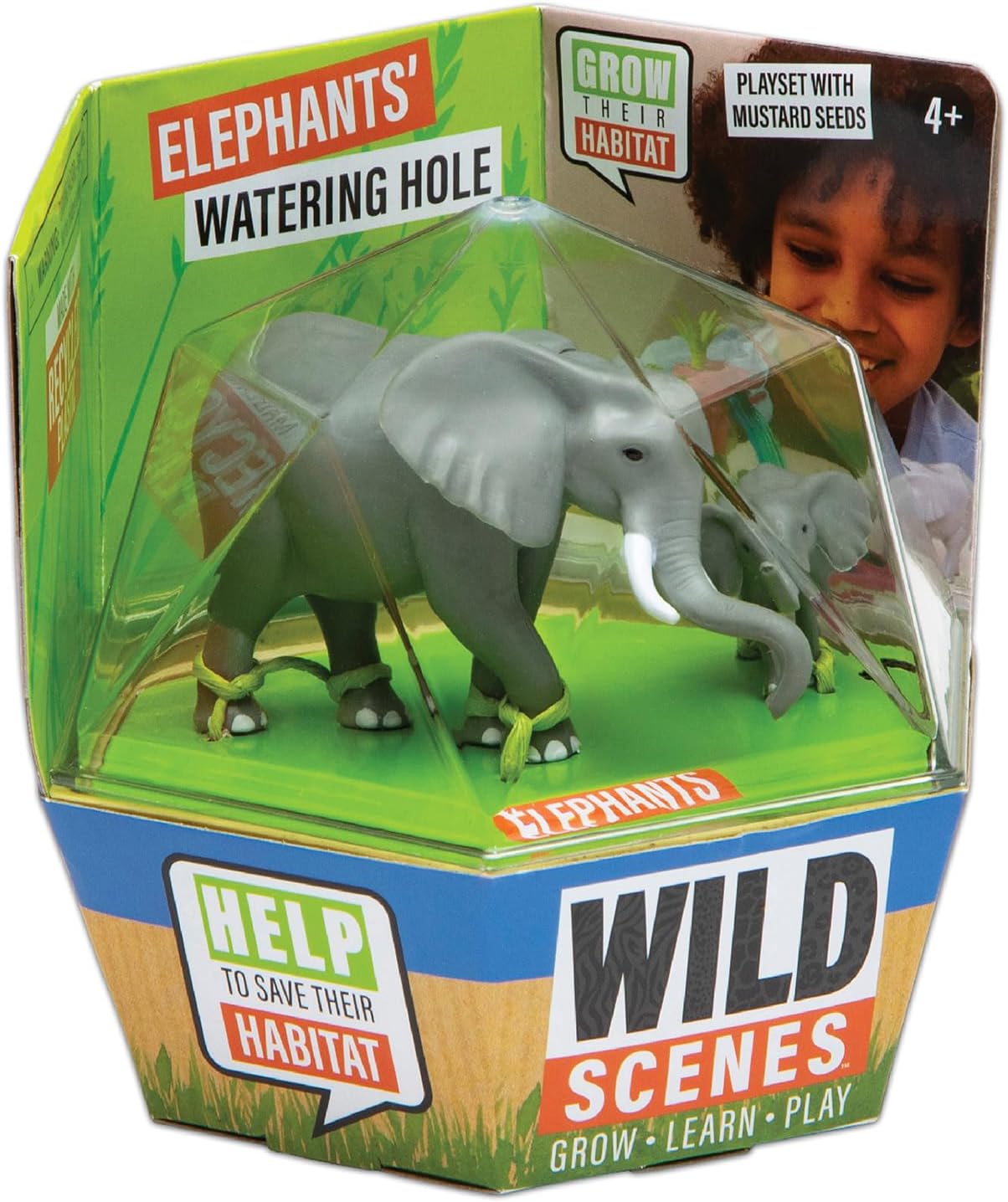 Wild Scenes Elephants' Watering Hole