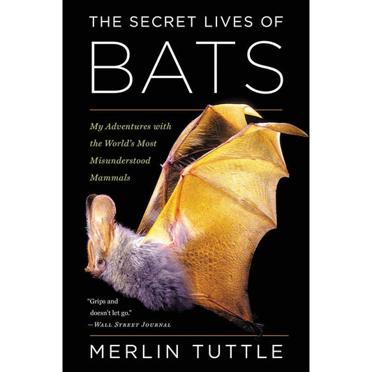 THE SECRET LIVES OF BATS BY MERLIN TUTTLE