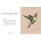 ORNITHOGRAPHY: AN ILLUSTRATED GUIDE TO BIRD LORE AND SYMBOLISM BY JESSICA ROUX