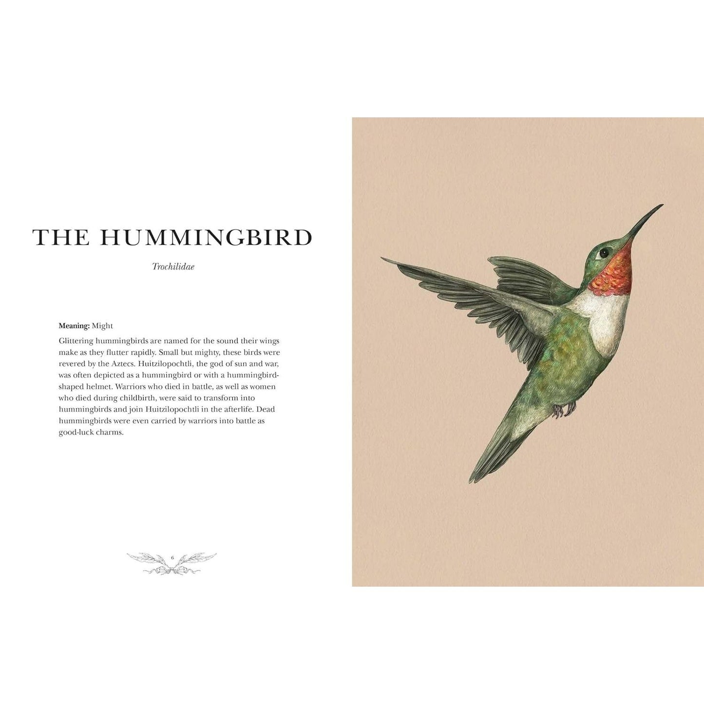ORNITHOGRAPHY: AN ILLUSTRATED GUIDE TO BIRD LORE AND SYMBOLISM BY JESSICA ROUX