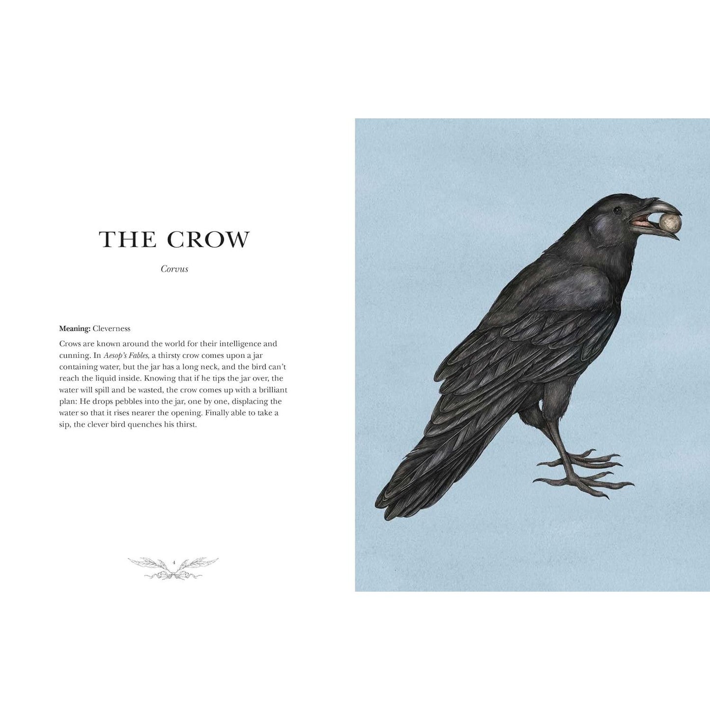 ORNITHOGRAPHY: AN ILLUSTRATED GUIDE TO BIRD LORE AND SYMBOLISM BY JESSICA ROUX