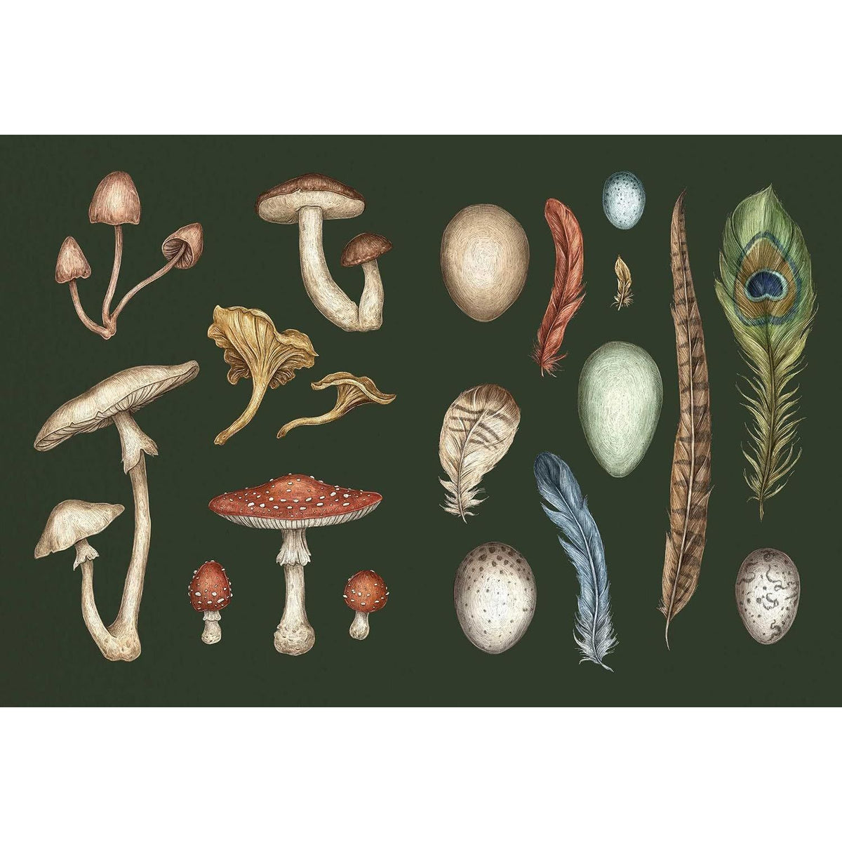 THE COLLECTOR'S CURIO: A STICKER TREASURY BY JESSICA ROUX