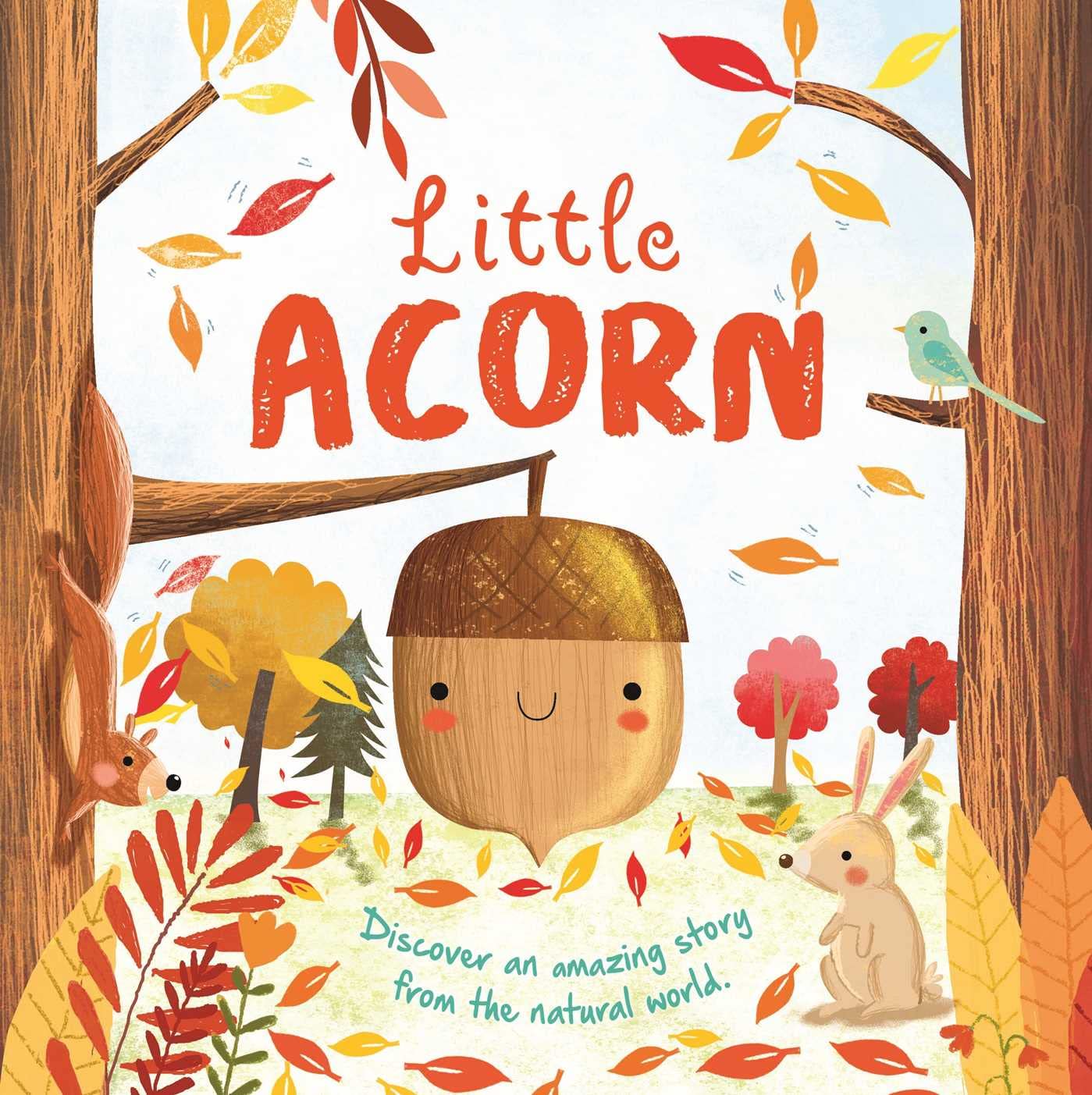 NATURES STORIES: LITTLE ACORN BY IGLOOBOOKS AND GISELA BOHÓRQUEZ