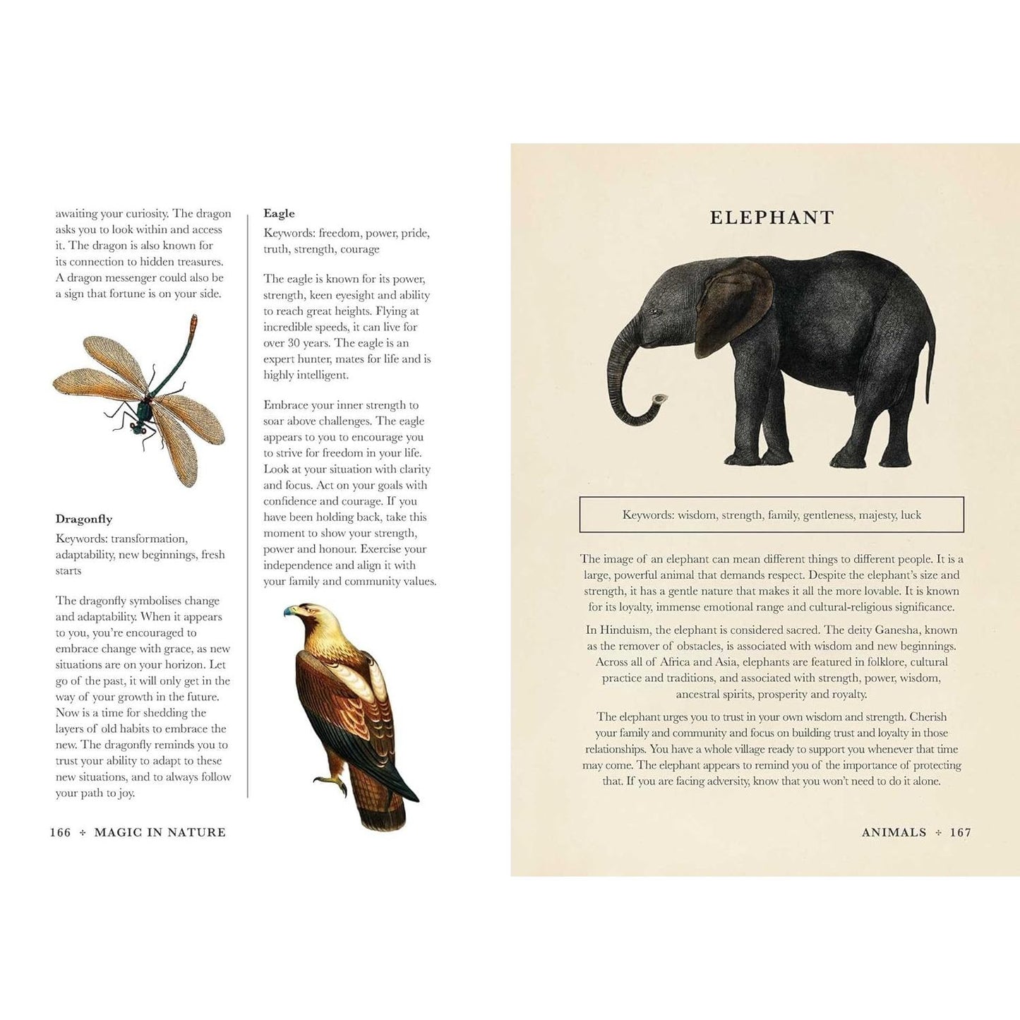 MAGIC IN NATURE BY JESSICA LAHOUD