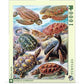 TURTLES 1000PC PUZZLE