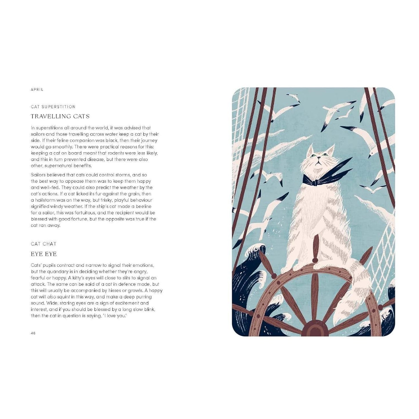 THE CAT YEAR: CATS, MAGIC, NATURE AND SPELLS BY ALISON DAVIES