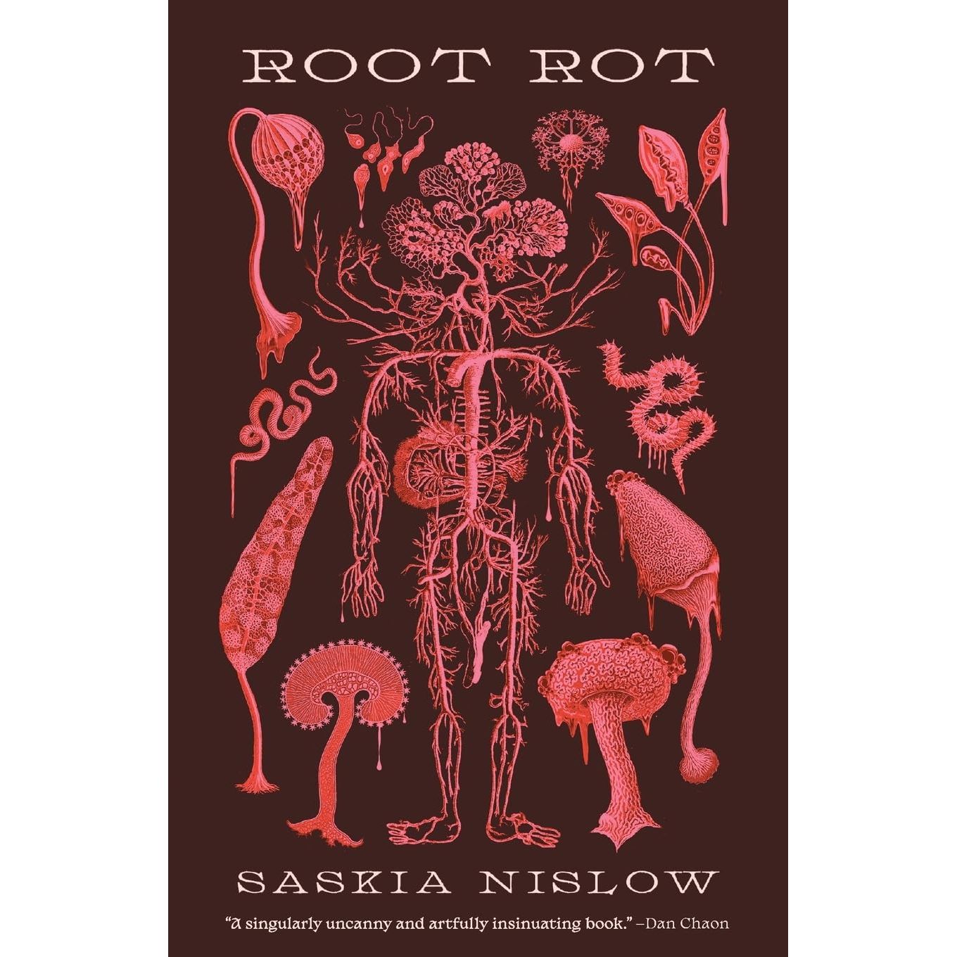 ROOT ROT BY SASKIA NISLOW