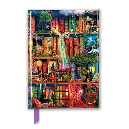 AIMEE STEWART: TREASURE HUNT BOOKSHELVES (FOILED MAGNETIC JOURNAL)