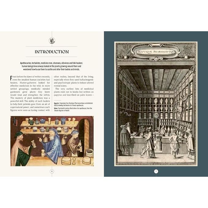 THE APOTHECARY'S GARDEN: THE SCIENCE AND MYTHOLOGY OF MEDICINAL PLANTS BY EMMA WAYLAND