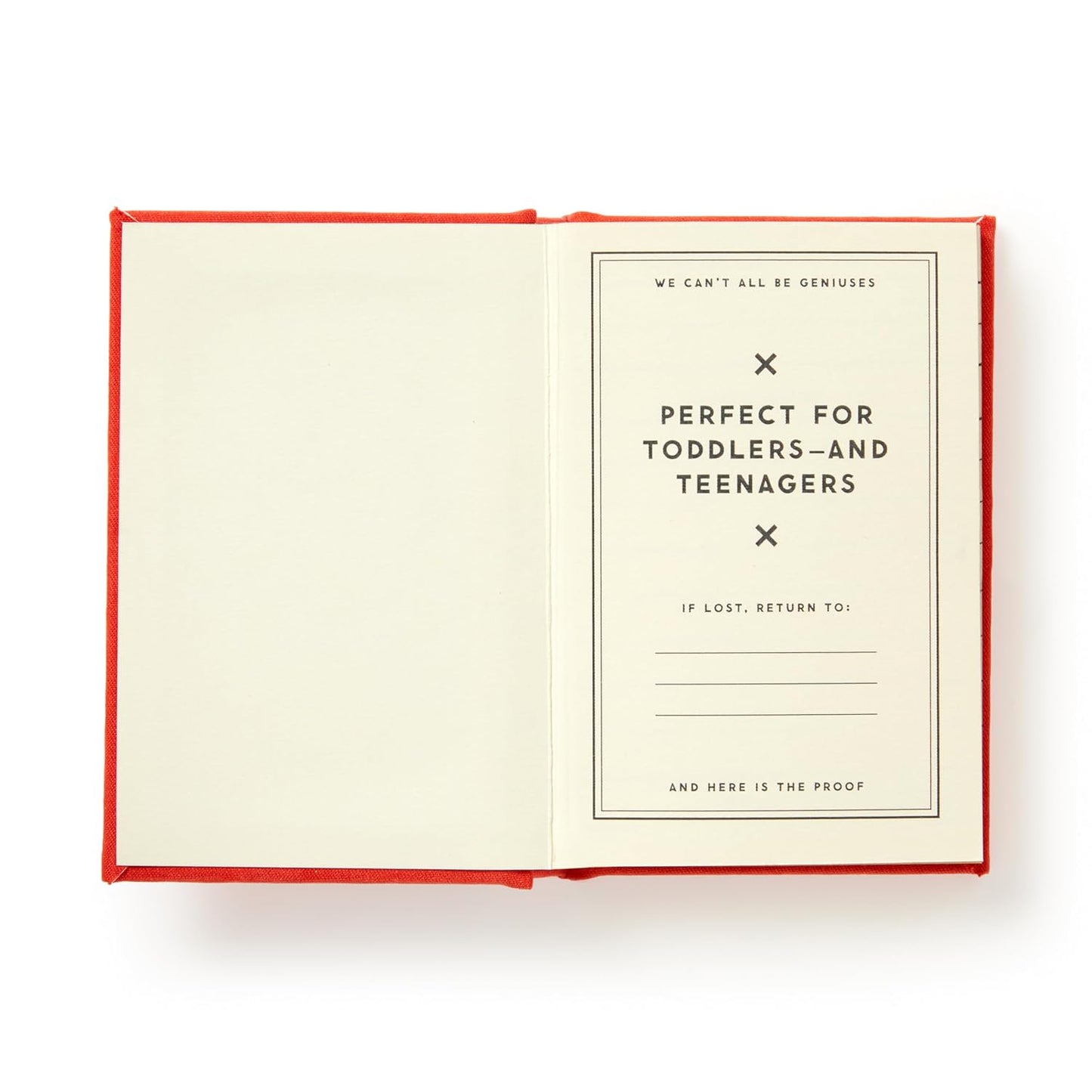 DUMB THINGS MY KIDS SAY (A TINY DIARY)