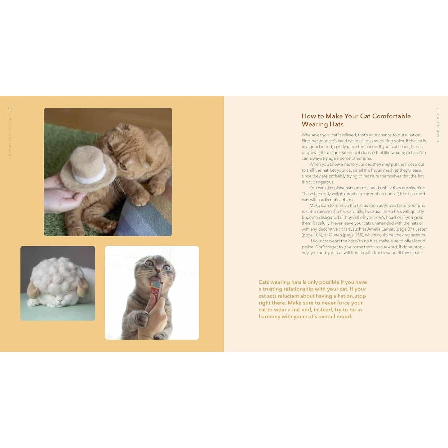 CAT-HAIR HATS FOR CATS BY ROJIMAN & UMATAN