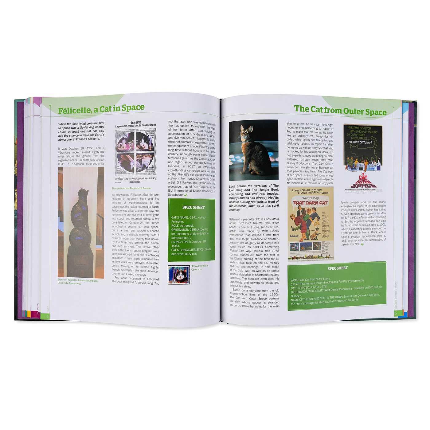 CATS IN POP CULTURE BY STÉPHANIE CHAPTAL AND CLAIRE-FRANCE THÉVENON