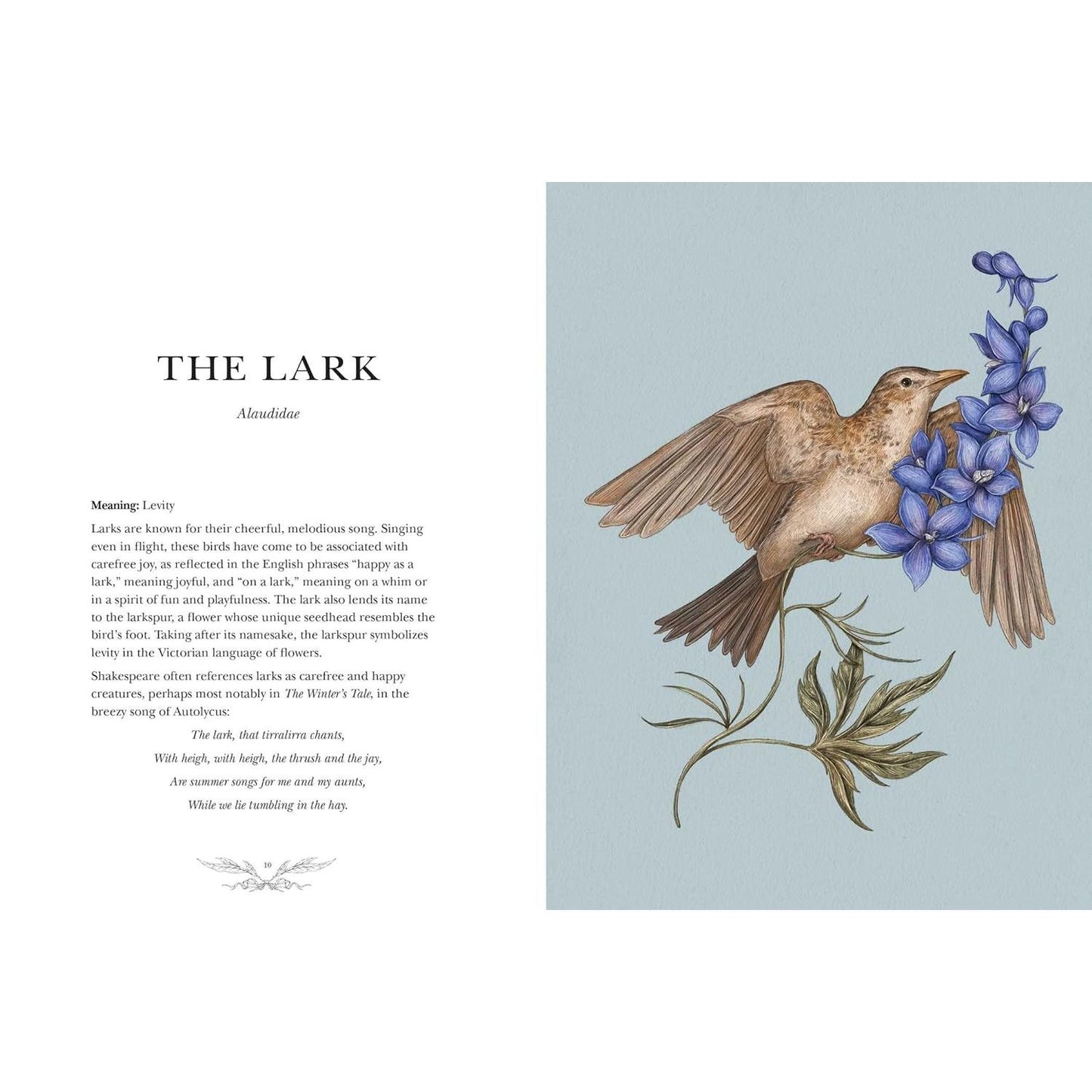 ORNITHOGRAPHY: AN ILLUSTRATED GUIDE TO BIRD LORE AND SYMBOLISM BY JESSICA ROUX