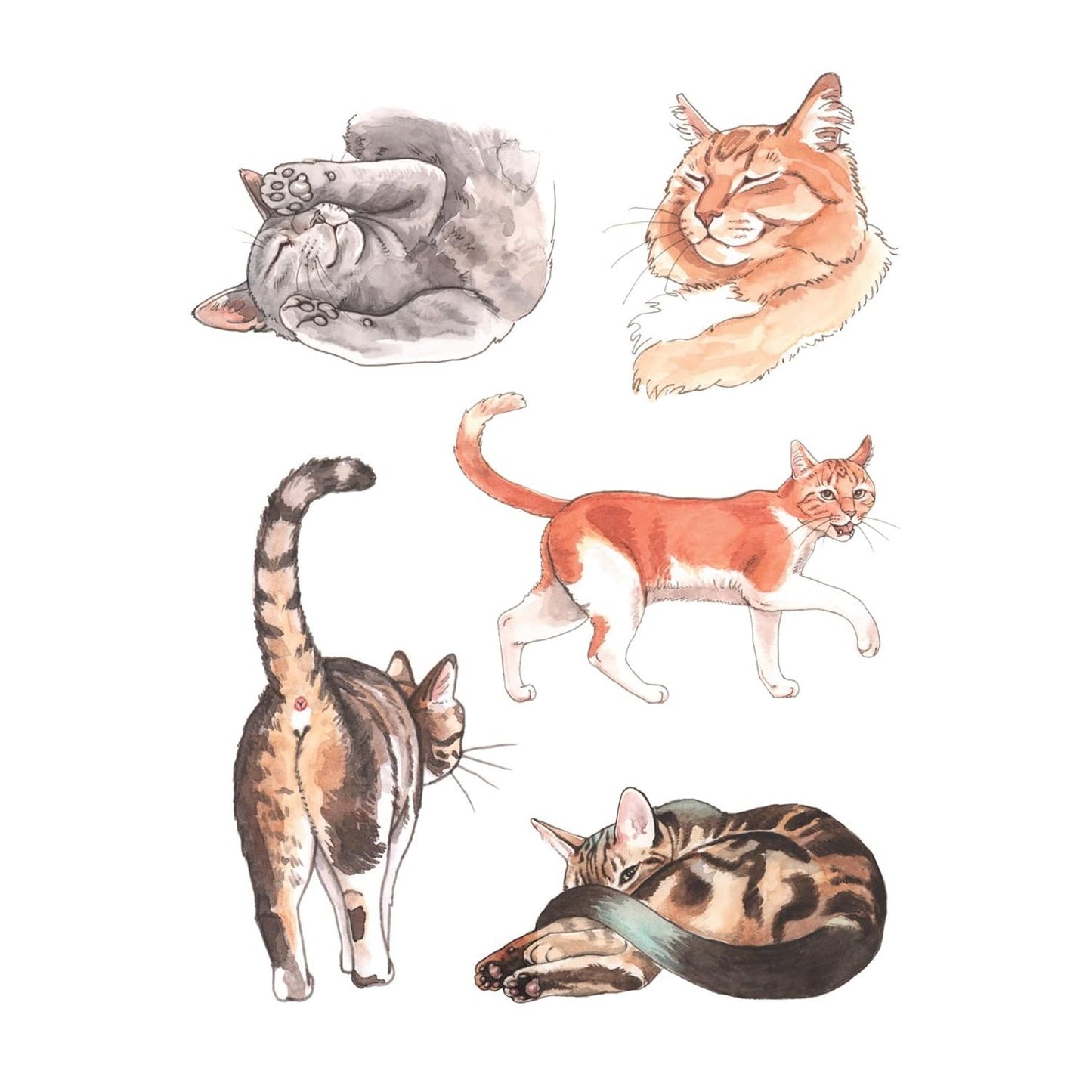 THE CAT'S MEOW STICKER BOOK