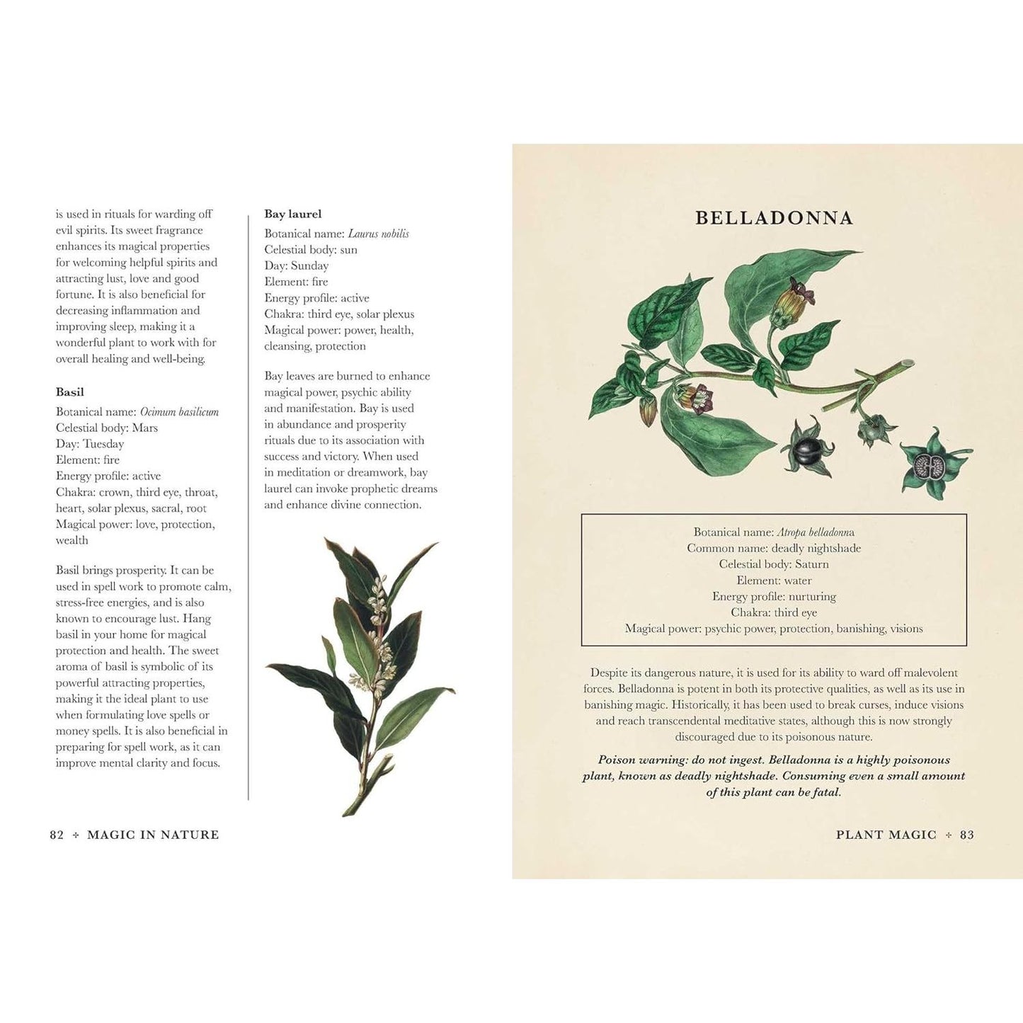 MAGIC IN NATURE BY JESSICA LAHOUD