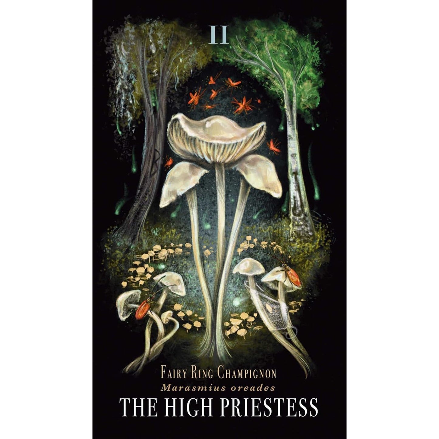 MIDNIGHT MAGIC THE TAROT OF MUSHROOMS