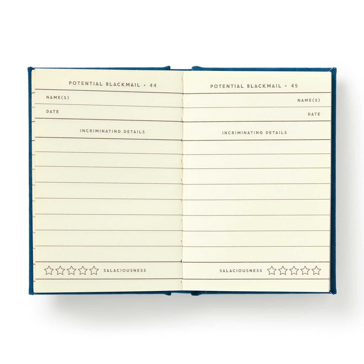 FUTURE BLACKMAIL (A TINY DIARY)