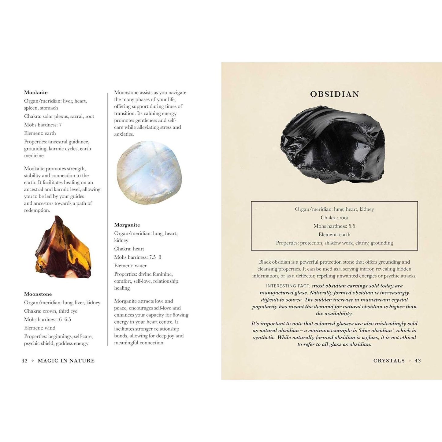 MAGIC IN NATURE BY JESSICA LAHOUD