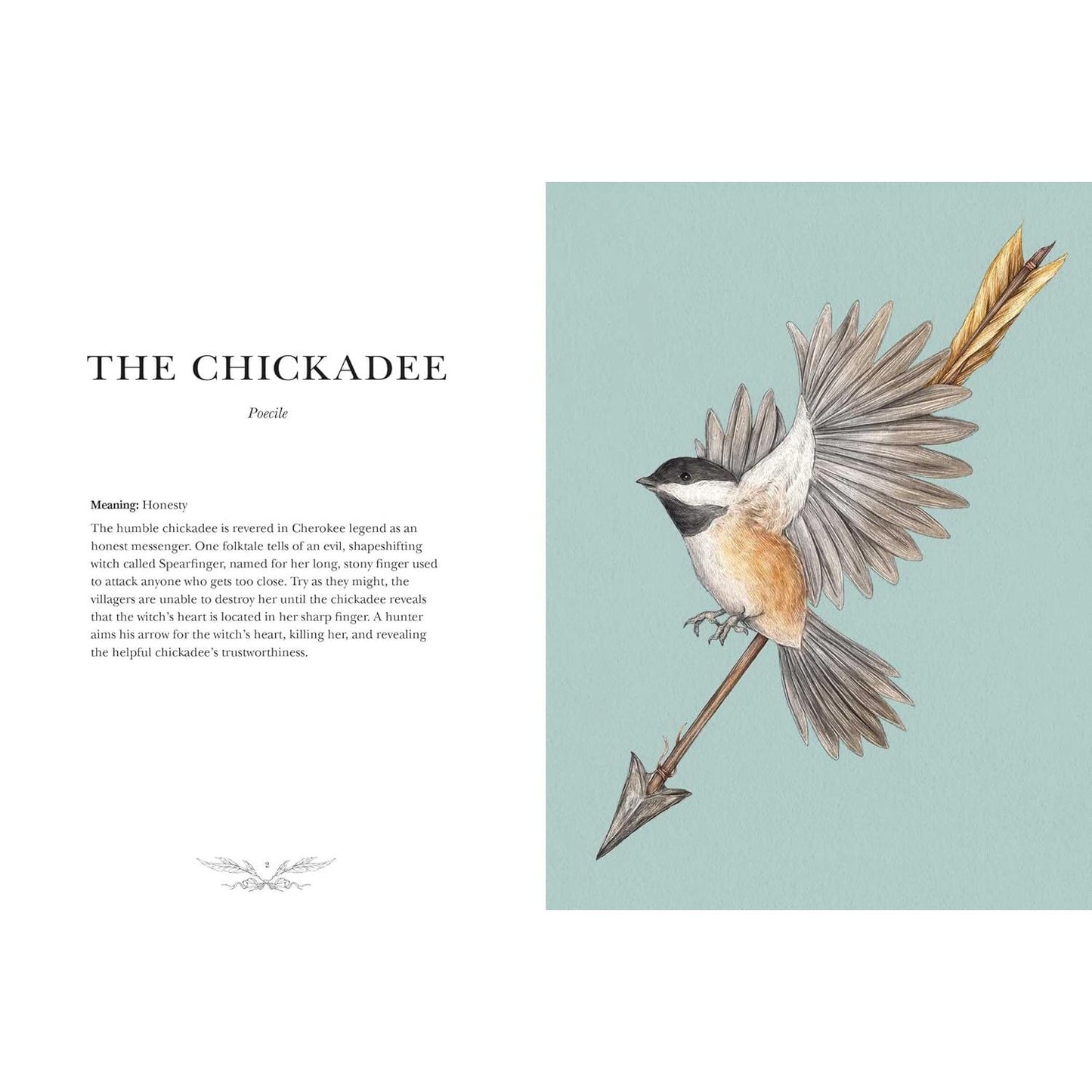 ORNITHOGRAPHY: AN ILLUSTRATED GUIDE TO BIRD LORE AND SYMBOLISM BY JESSICA ROUX