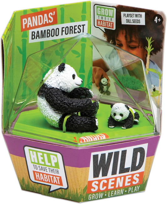 Wild Scenes Pandas' Bamboo Forest