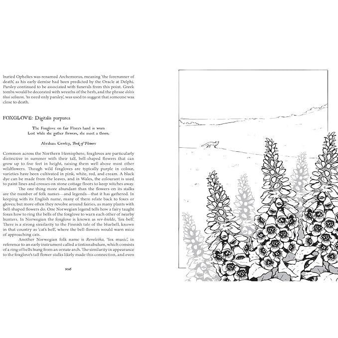 BOTANICAL CURSES AND POISONS: THE SHADOW LIVES OF PLANTS BY FEZ INKWRIGHT