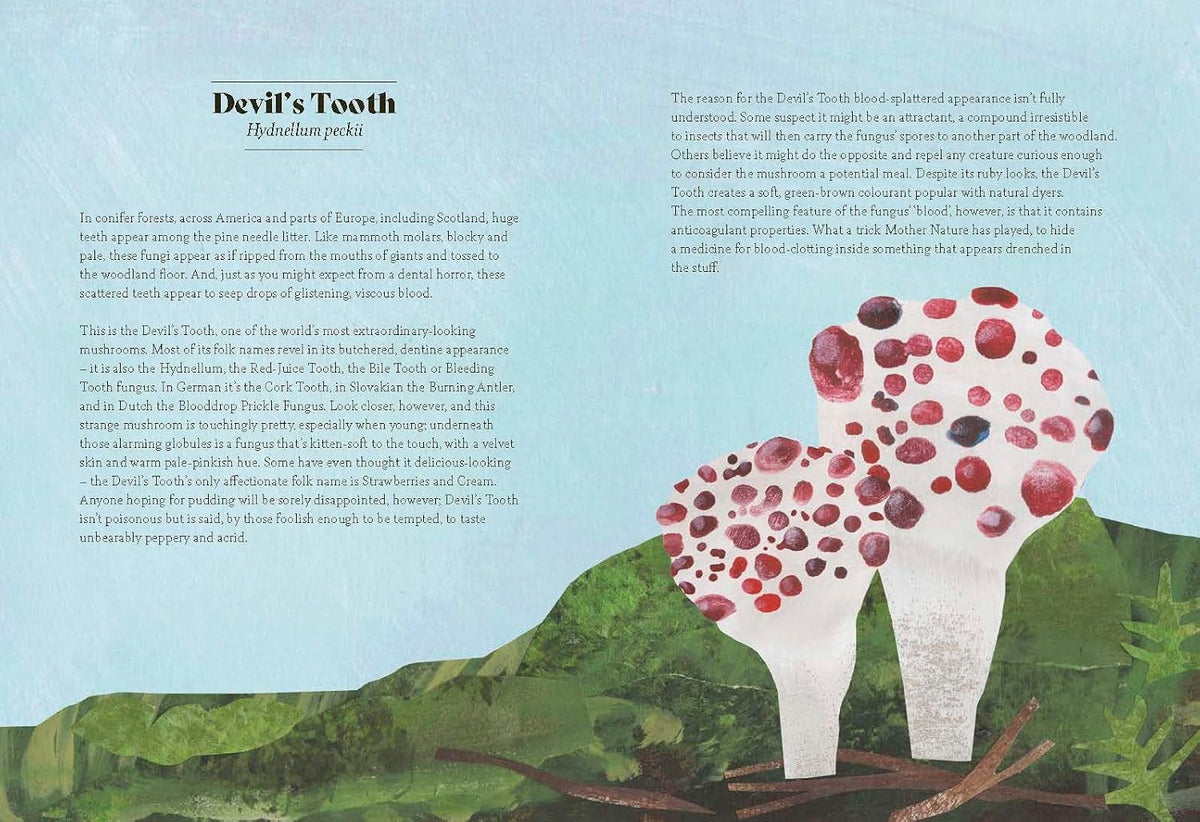 FUNGI LORE: THE MYTHS, FOLKLORE AND MAGIC OF MUSHROOMS BY SALLY COULTHARD