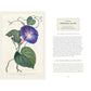 DARWIN AND THE ART OF BOTANY: OBSERVATIONS ON THE CURIOUS WORLD OF PLANTS BY JAMES T. COSTA AND BOBBI ANGELL