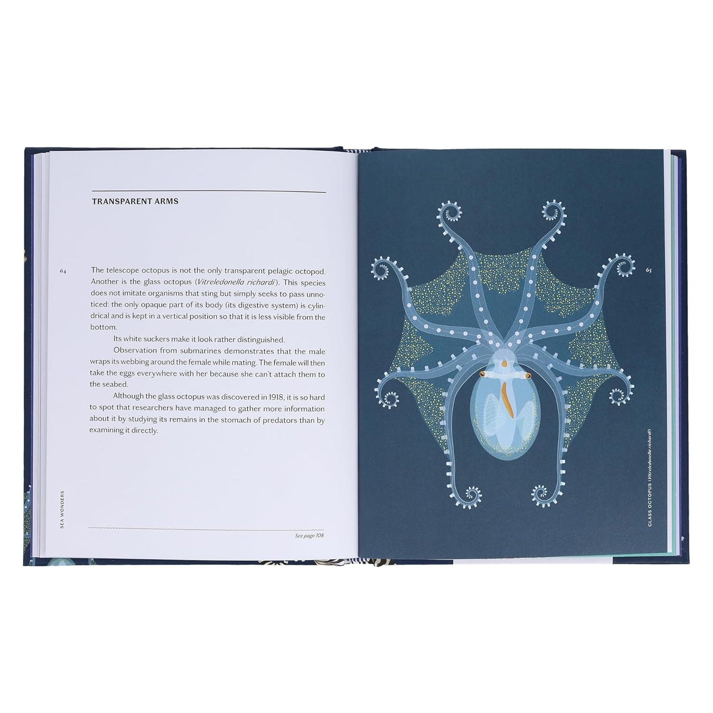 SEA WONDERS: THE OCTOPUS, THE CUTTLEFISH, AND THE SQUID BY MARCO COLOUMBO & FRANCESCO TOMASINELLI WITH ILLUSTRATIONS BY GIULIA DE AMICIS