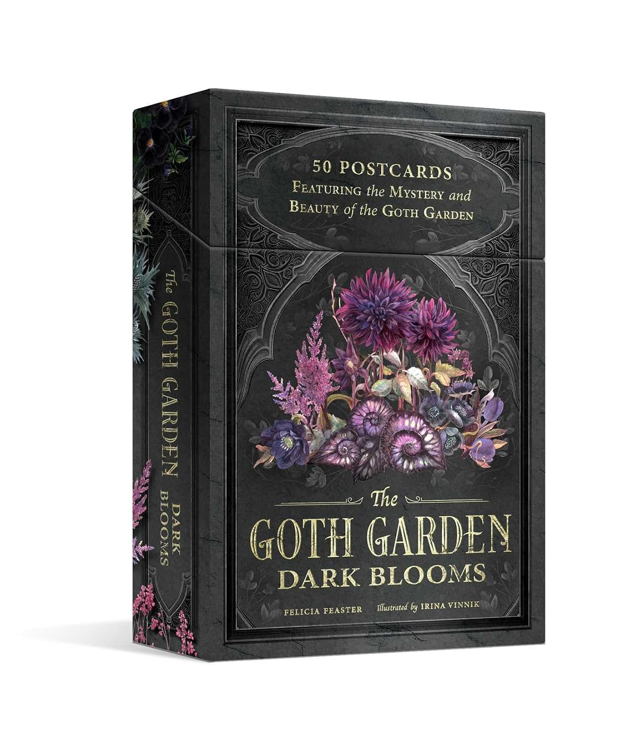 THE GOTH GARDENS: DARK BLOOMS POSTCARDS BY FELICIA FEASTER AND IRINA VINNIK