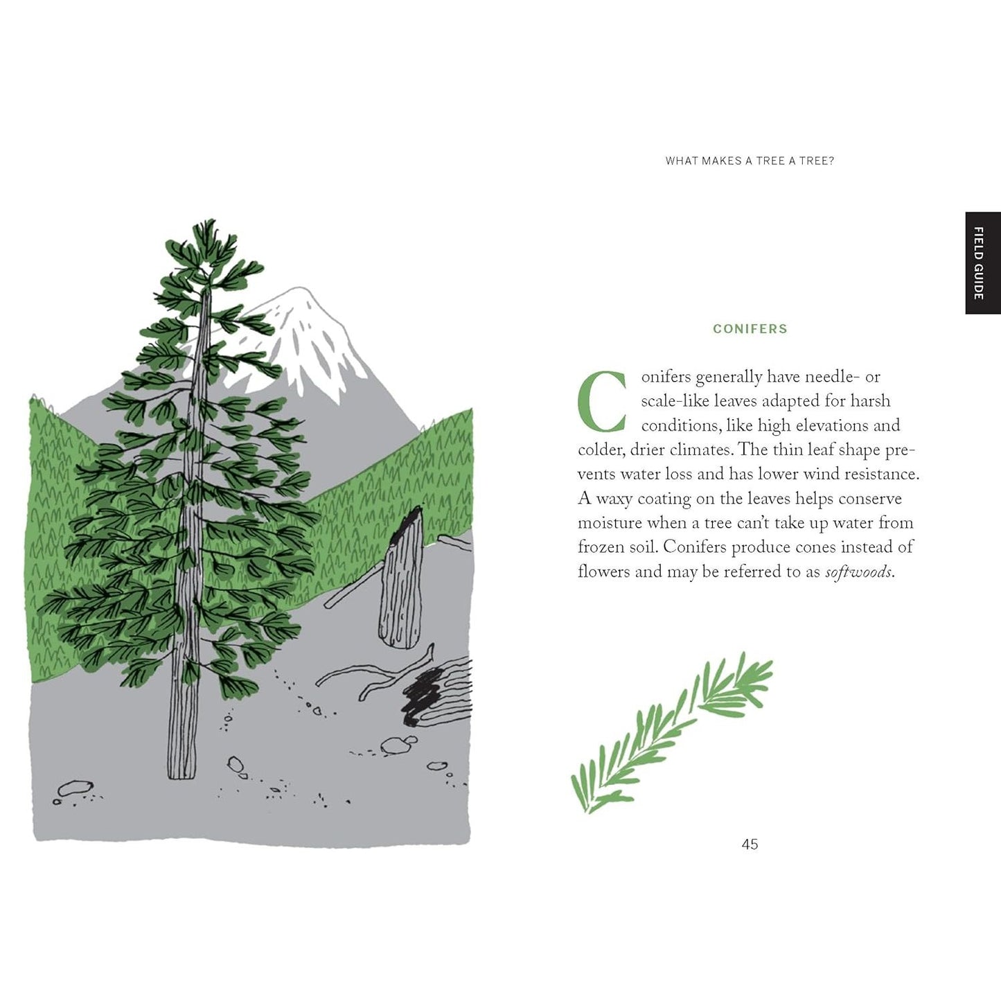 POCKET NATURE: TREE HUGGING - SEEK WISDOM IN THE FOREST