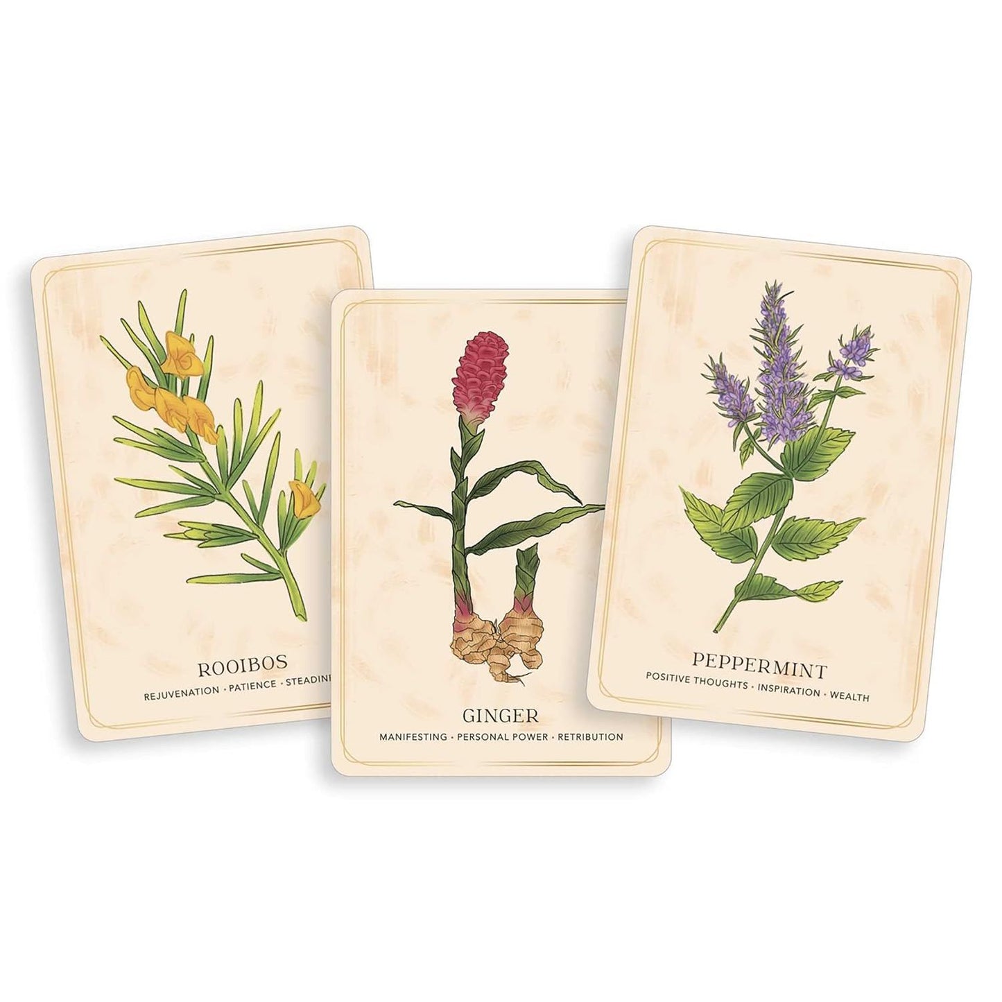 THE HERBAL TEA MAGIC FOR THE MODERN WITCH ORACLE DECK