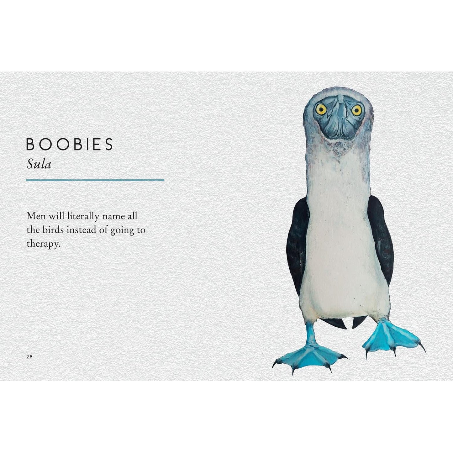 TITS, BOOBIES, AND LOONS BY STU ROYALL