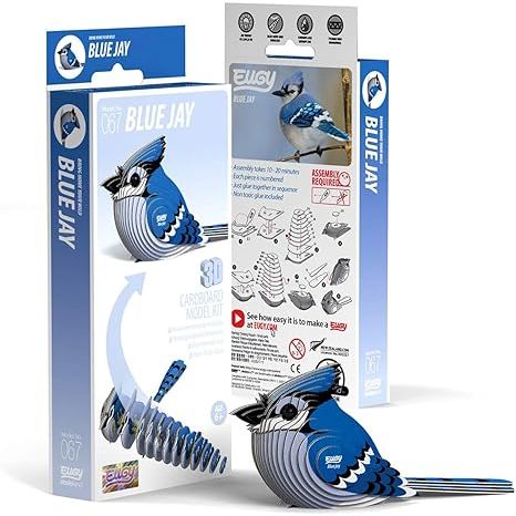 EUGY BLUE JAY