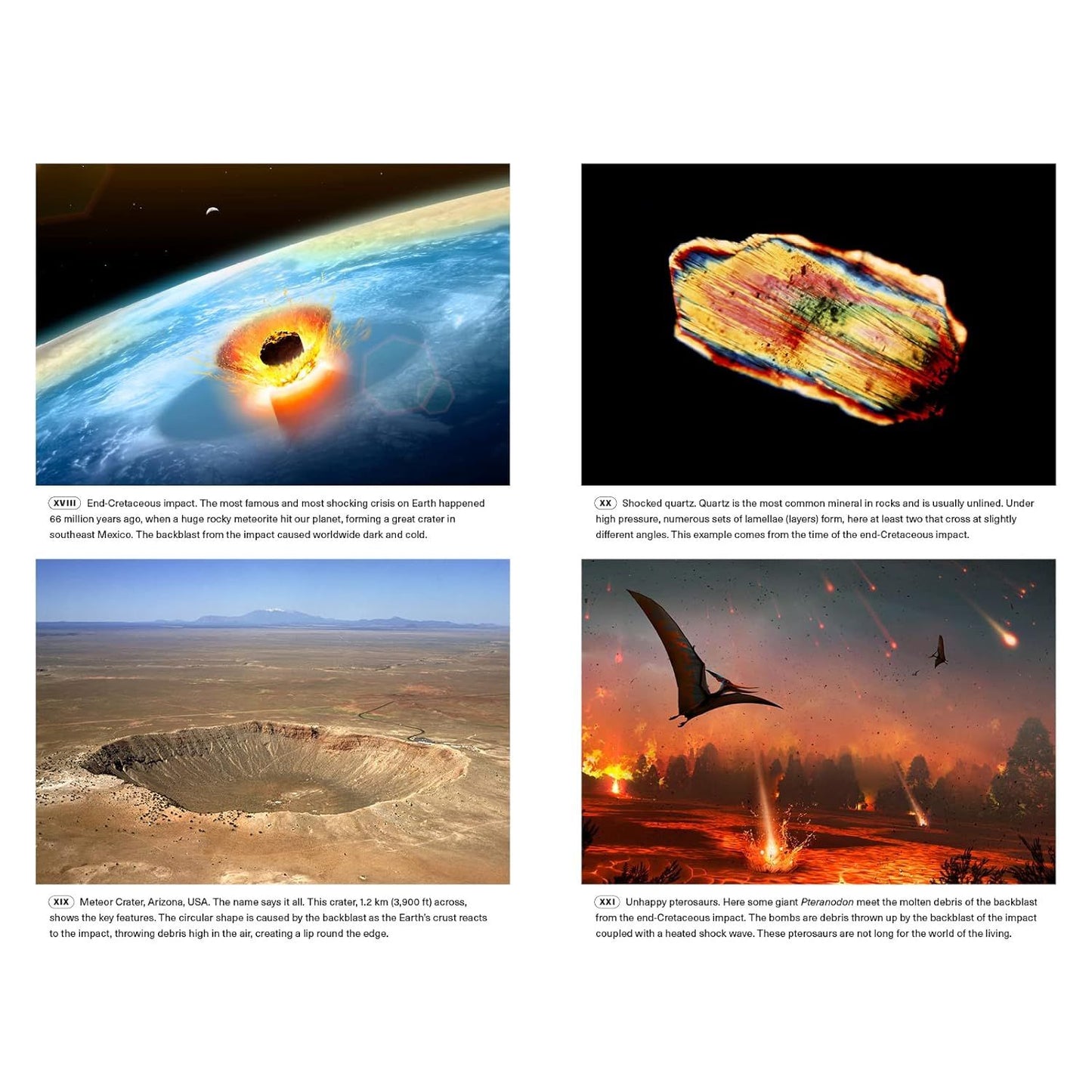 EXTINCTIONS: HOW LIFE SURVIVES, ADAPTS, AND EVOLVES BY MICHAEL J. BENTON