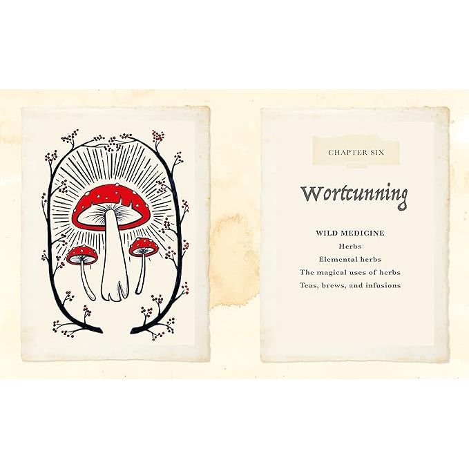 THE WITCH OF THE WOODS: SPELLS, CHARMS, DIVINATION, REMEDIES, AND FOLKLORE BY KIELY MANN