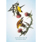 THE SPIRITUAL MEANING OF BIRDS ORACLE DECK