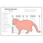 THE CAT OPERATOR'S MANUAL: GETTING THE MOST FROM YOUR NEW CUDDLE UNIT BY QUEEN OLIVIA III