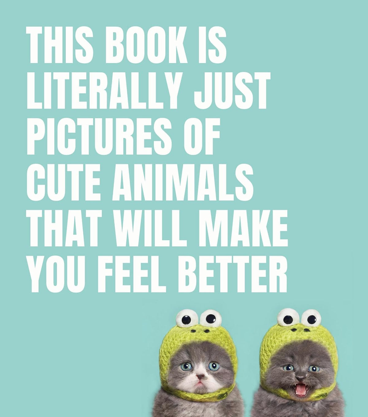 THIS BOOK IS LITERALLY JUST PICTURES OF CUTE ANIMALS THAT WILL MAKE YOU FEEL BETTER BY SMITH STREET BOOKS