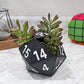D20 DICE PLANTER
