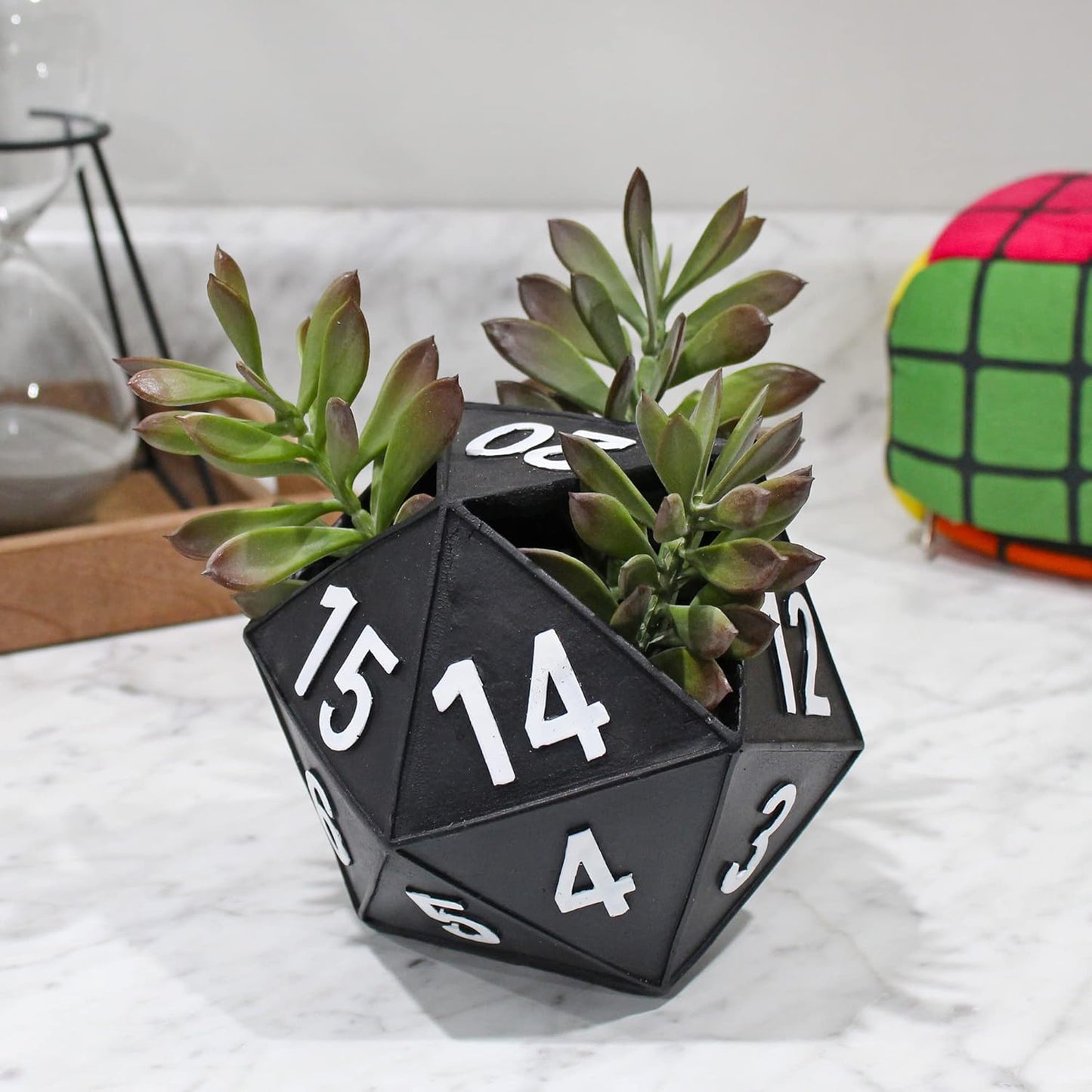 D20 DICE PLANTER