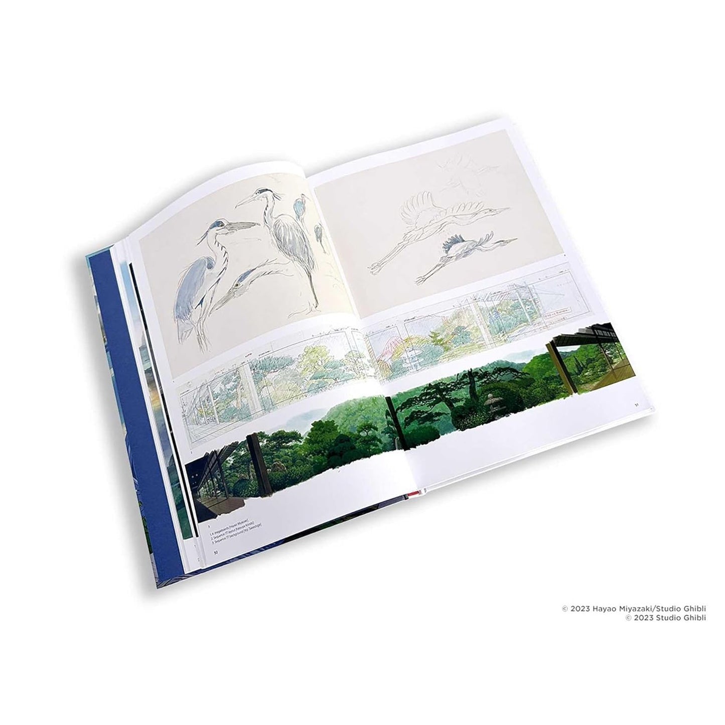 THE ART OF THE BOY AND THE HERON: A FILM BY HAYAO MIYAZAKI