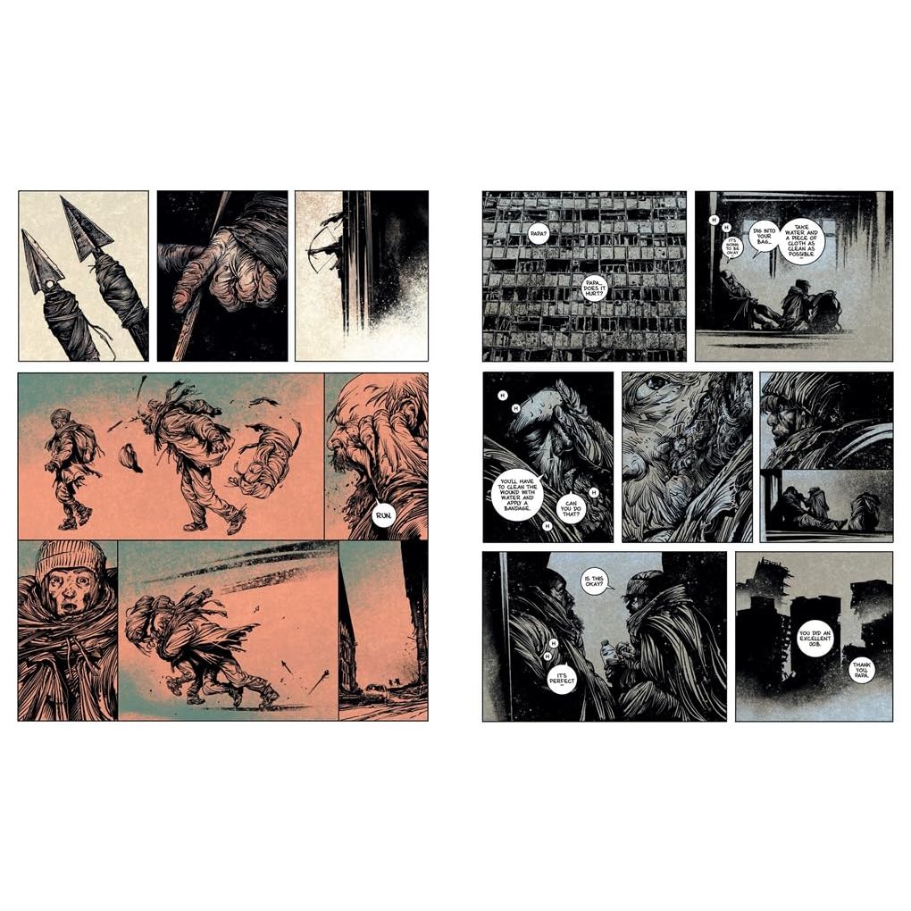 THE ROAD BY CORMAC MCCARTHY (GRAPHIC NOVEL) ADAPTED BY MANU LARCENET