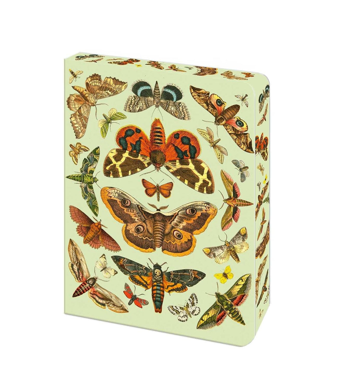 THE MOTH JOURNAL: BLANK LINED NOTEBOOK