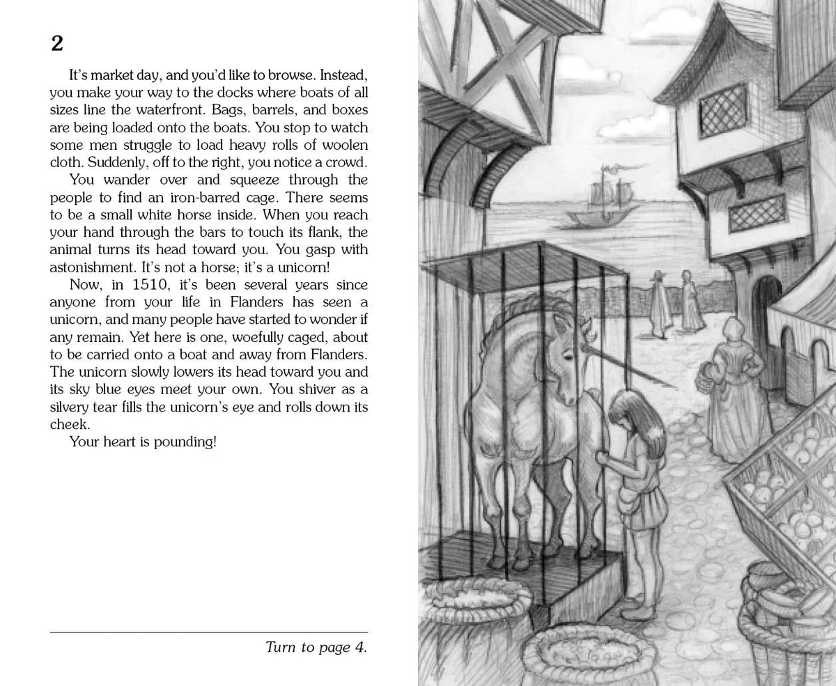 THE RESCUE OF THE UNICORN (CHOOSE YOUR OWN ADVENTURE SERIES) BY DEBORAH LERME GOODMAN