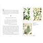 THE SCARED HERBS OF YULE AND CHRISTMAS BY ELLEN EVERT HOPMAN